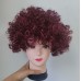 Afro-hair Ball Fan Fake Hair Multicoloured Wig