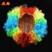 Afro-hair Ball Fan Fake Hair Multicoloured Wig